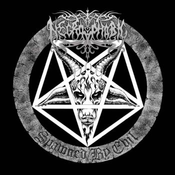Necrophobic - Spawned By Evil (Pic Disc) in the group VINYL / Bestsellers at Bengans Skivbutik AB (5689197)