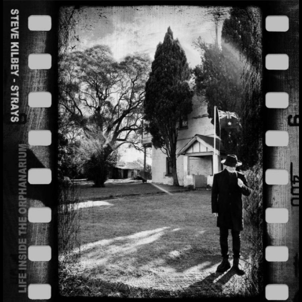 Steve Kilbey - Strays (Life Inside The Orphanarium in the group CD / Upcoming releases / Pop-Rock at Bengans Skivbutik AB (5689292)