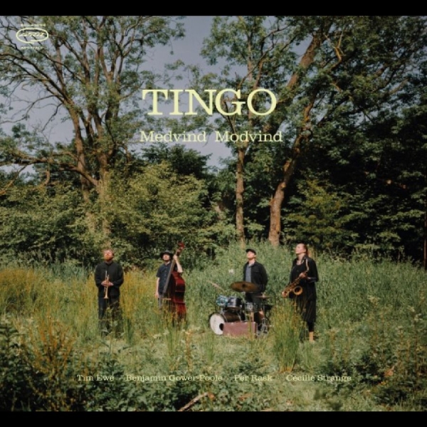 Tingo - Medvind Modvind in the group CD / Upcoming releases / Jazz at Bengans Skivbutik AB (5689959)