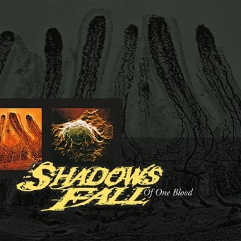 Shadows Fall - Of One Blood in the group CD / Hårdrock at Bengans Skivbutik AB (5689989)