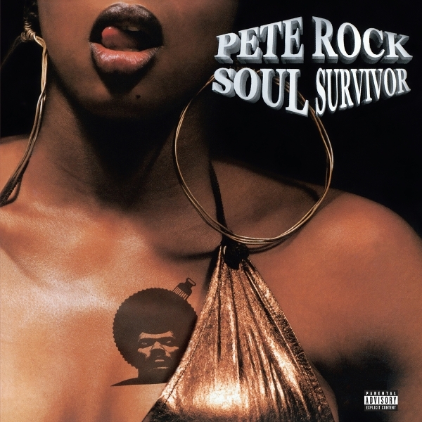 Pete Rock - Soul Survivor in the group VINYL / Hip Hop-Rap at Bengans Skivbutik AB (5690414)