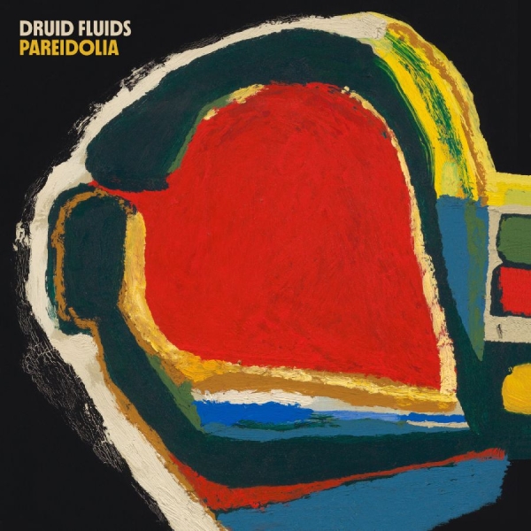 Druid Fluids - Pareidolia in the group CD / Upcoming releases / Pop-Rock at Bengans Skivbutik AB (5690449)