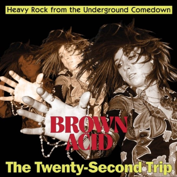 Various Artists - Brown Acid - The Twenty-Second Trip in the group VINYL / Bestsellers at Bengans Skivbutik AB (5690539)