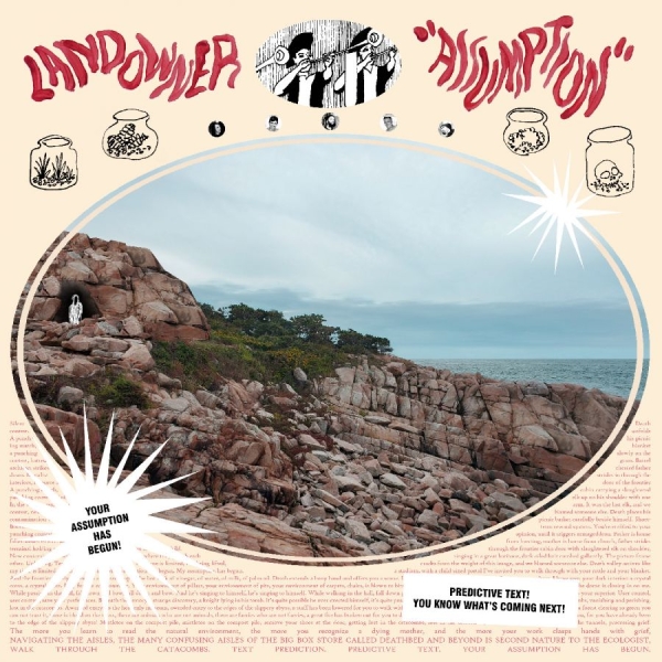 Landowner - Assumption (Electric Smoke Vinyl) in the group VINYL / Upcoming releases / Pop-Rock at Bengans Skivbutik AB (5690594)
