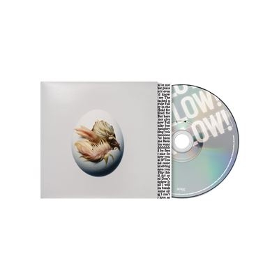 Shygirl - Swallow! in the group CD / Upcoming releases / Pop-Rock at Bengans Skivbutik AB (5690618)