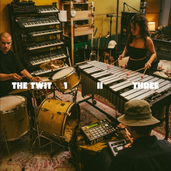 The Twit 1 Ii Three - The Twit 1, Ii, Three in the group VINYL / Upcoming releases / Jazz at Bengans Skivbutik AB (5690885)