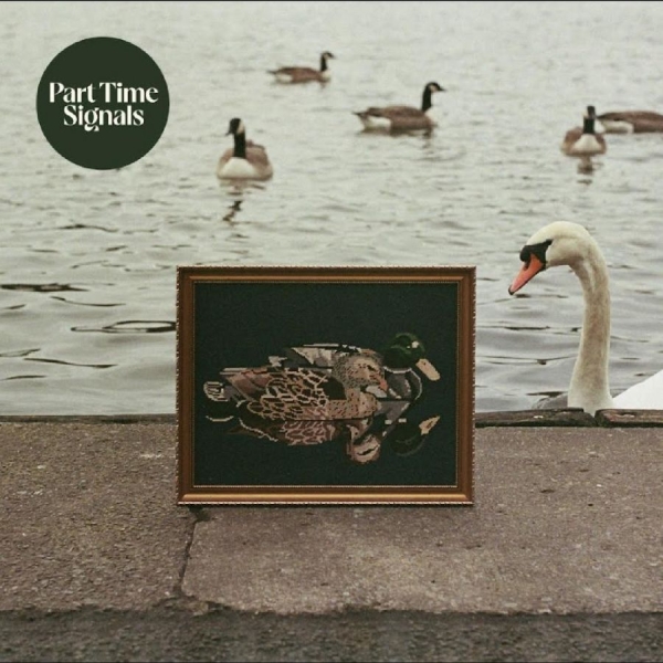 Part Time Signals - Ducks Back, Baby in the group CD / Upcoming releases / Pop-Rock at Bengans Skivbutik AB (5692160)