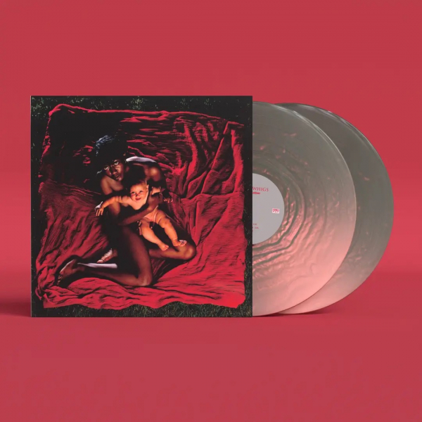 Afghan Whigs - Congregation (Anniversary Edition P in the group VINYL / Upcoming releases / Pop-Rock at Bengans Skivbutik AB (5692372)