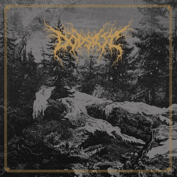 Dödsrit - Mortal Coil (Mist Vinyl Lp W/Obi) in the group VINYL / Upcoming releases / Hårdrock at Bengans Skivbutik AB (5693445)