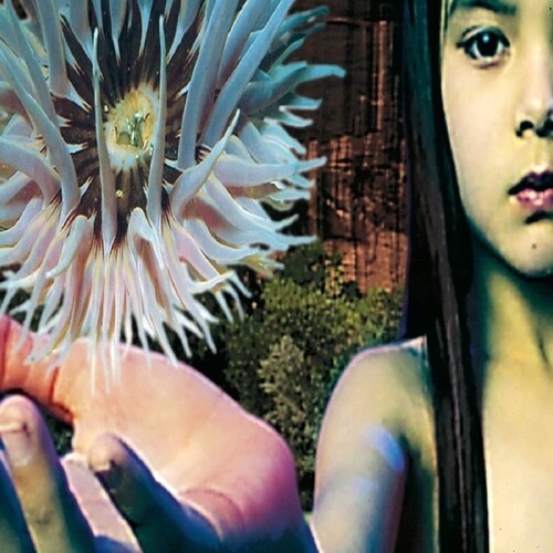 The Future Sound Of London - Lifeforms in the group VINYL / Bestsellers at Bengans Skivbutik AB (5693618)