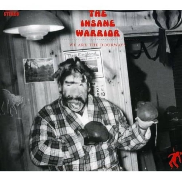 The Insane Warrior (Rjd2) - We Are The Doorways in the group CD / Bestsellers at Bengans Skivbutik AB (5693772)
