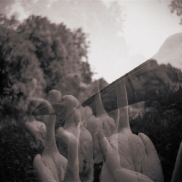 Ian - Come On Everybody, Let's Do Nothing in the group VINYL / Upcoming releases / Pop-Rock at Bengans Skivbutik AB (5694134)