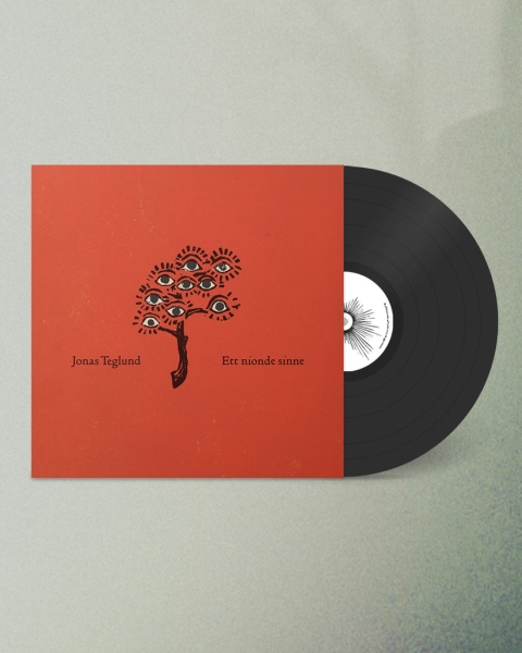 Jonas Teglund - Ett Nionde Sinne in the group VINYL / Pop-Rock at Bengans Skivbutik AB (5694504)