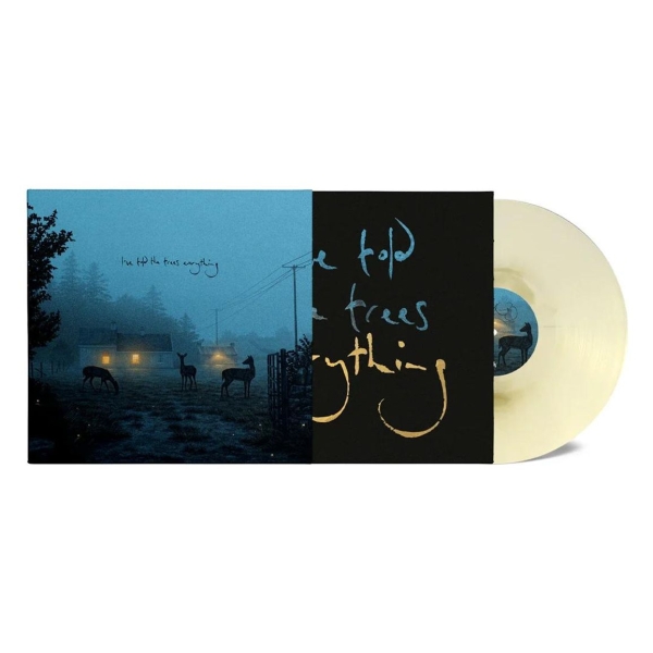 Dermot Kennedy - I've Told The Trees Everything in the group VINYL / Pop-Rock at Bengans Skivbutik AB (5695611)