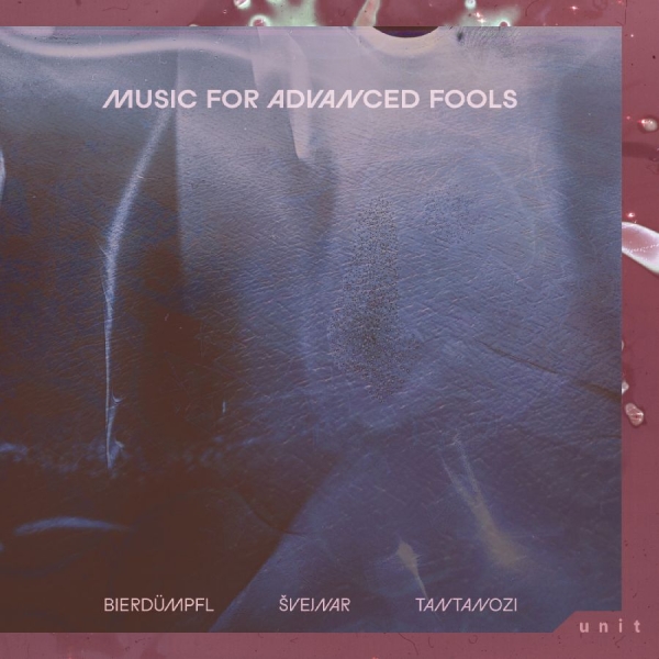 Bierdu?Mpfl / S?Vejnar / Tantanozi - Music For Advanced Fools in the group VINYL / Upcoming releases / Jazz at Bengans Skivbutik AB (5696364)