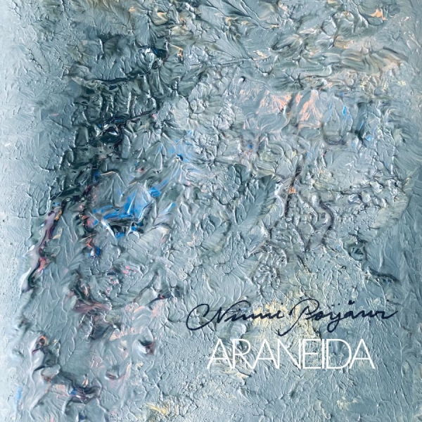 Ninni Poijärvi - Araneida in the group CD / Upcoming releases / Pop-Rock at Bengans Skivbutik AB (5696732)