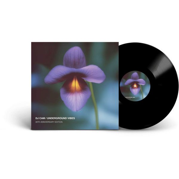 DJ Cam - Underground Vibes in the group VINYL / Bestsellers at Bengans Skivbutik AB (5696939)