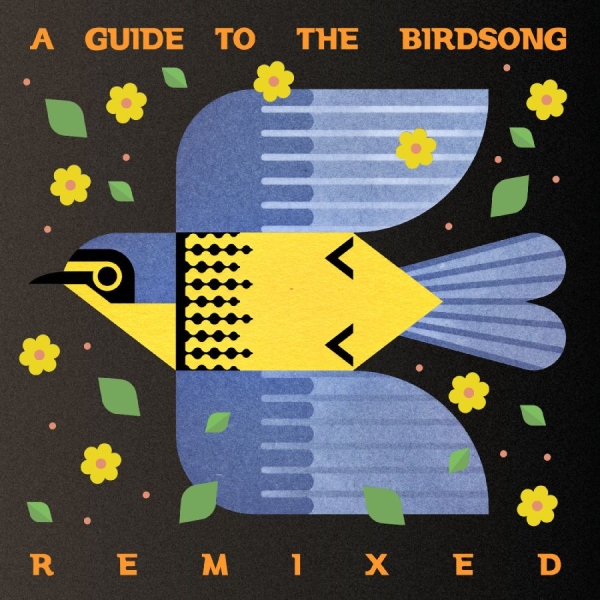 Various Artists - A Guide To The Birdsong Remixed in the group CD / Most Pre-Ordered at Bengans Skivbutik AB (5697668)