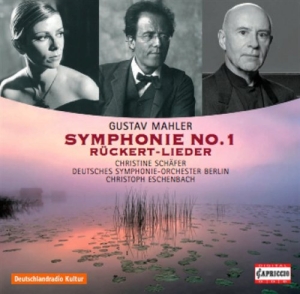 Mahler - Symphony No 1 in the group Externt_Lager /  at Bengans Skivbutik AB (570448)