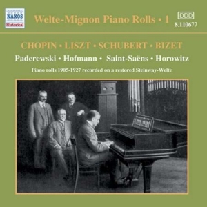 Blandade Artister - Welte-Mignon Vol 1 in the group CD / Klassiskt at Bengans Skivbutik AB (572953)