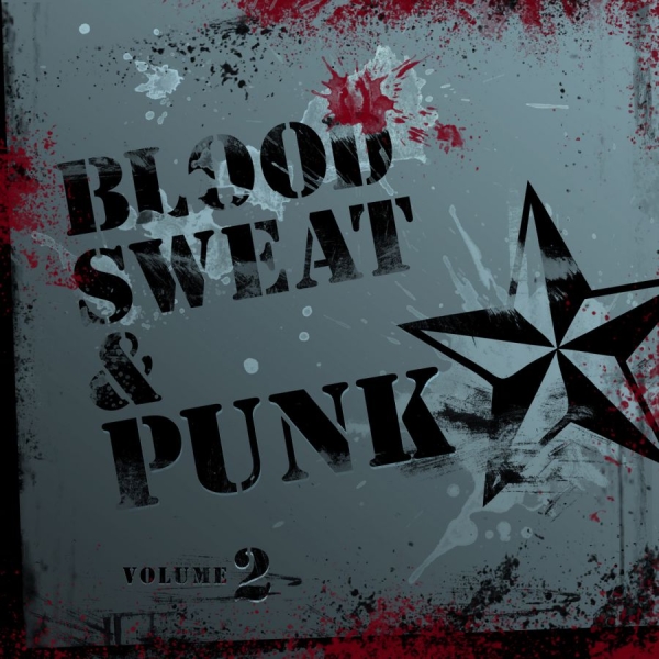 Various Artists - Blood, Sweat And Punk Volume 2 in the group CD / Bestsellers at Bengans Skivbutik AB (573880)