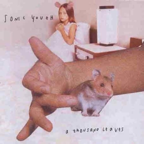 Sonic Youth - Thousand Leaves in the group OTHER / Övrigt / at Bengans Skivbutik AB (581004)