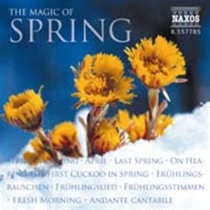 Various - S Spring-Seasons (Magic O in the group Externt_Lager /  at Bengans Skivbutik AB (581440)