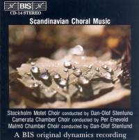 Various - Scandanavian Choral Music in the group Externt_Lager /  at Bengans Skivbutik AB (581794)
