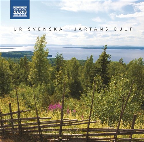 Various - Ur Svenska Hjärtans Djup in the group CD / Pop-Rock at Bengans Skivbutik AB (587164)