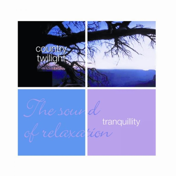 Leviathan - Country Twilight - Tranquillity in the group CD / Worldmusic/ Folkmusik at Bengans Skivbutik AB (588562)