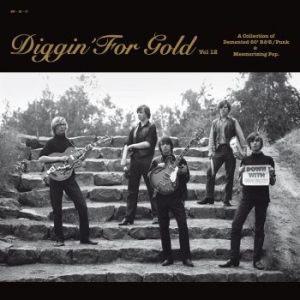 Blandade Artister - Diggin' For Gold Vol. 12 in the group VINYL / Pop-Rock at Bengans Skivbutik AB (589775)