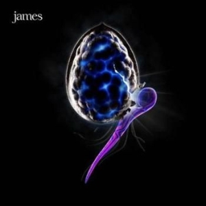 James - Night Before in the group CD / Pop at Bengans Skivbutik AB (589886)