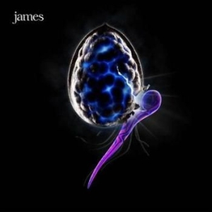 James - Night Before in the group CD / Pop at Bengans Skivbutik AB (589886)