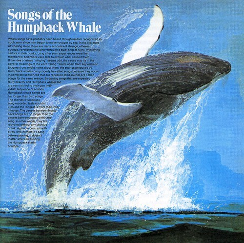 Songs Of The Humpback Whale - Songs Of The Humpback Whale in the group CD / Worldmusic/ Folkmusik at Bengans Skivbutik AB (591831)