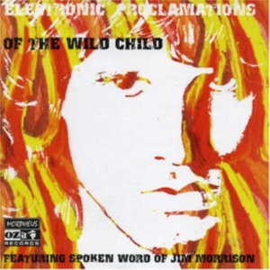 Jim Morrison - Electronic Proclamations Of The Wild Chi in the group CD / Pop-Rock at Bengans Skivbutik AB (592533)