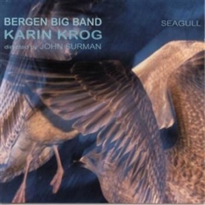 Krog Karin - Seagull in the group CD / Jazz,Norsk Musik at Bengans Skivbutik AB (597390)