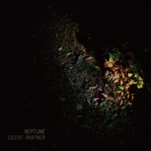 Neptune - Silent Partner in the group CD / Pop-Rock at Bengans Skivbutik AB (608206)