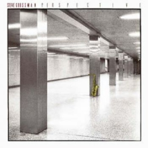 Grossman Steve - Perspective in the group CD / Jazz at Bengans Skivbutik AB (612116)
