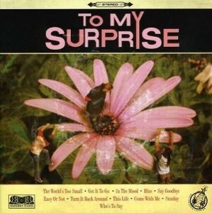 To My Surprise - To My Surprise in the group CD / CD Hardrock at Bengans Skivbutik AB (616994)