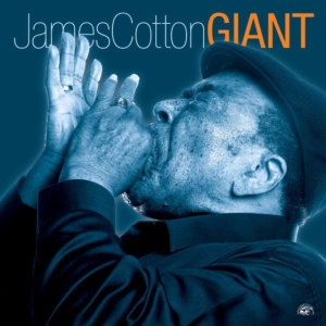 Cotton James - Giant in the group OTHER / Övrigt /  at Bengans Skivbutik AB (620057)