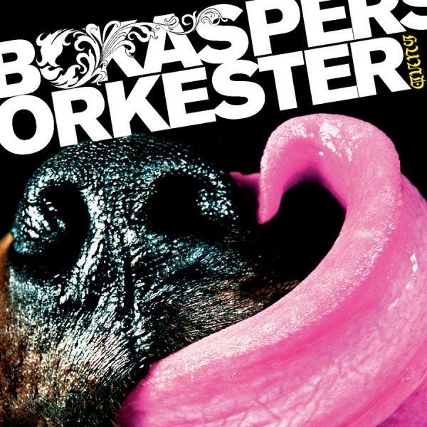 Bo Kaspers Orkester - Hund in the group CD / New releases / Pop-Rock,Svensk Musik at Bengans Skivbutik AB (621489)