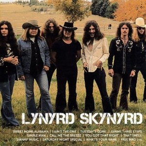 Lynyrd Skynyrd - Icon in the group CD / Pop at Bengans Skivbutik AB (622752)