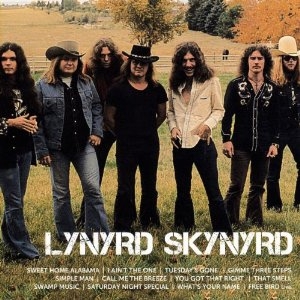 Lynyrd Skynyrd - Icon in the group Minishops / Lynyrd Skynyrd at Bengans Skivbutik AB (622752)