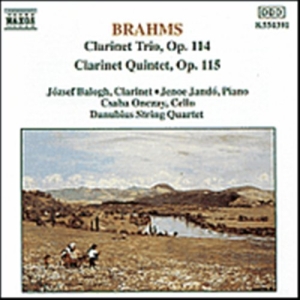 Brahms Johannes - Clarinett Trio & Quintet in the group Externt_Lager /  at Bengans Skivbutik AB (628929)