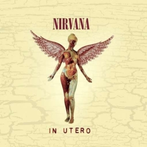 NIRVANA - IN UTERO - 20TH ANNIVERSARY in the group OTHER / -Start Uni-CD at Bengans Skivbutik AB (629828)