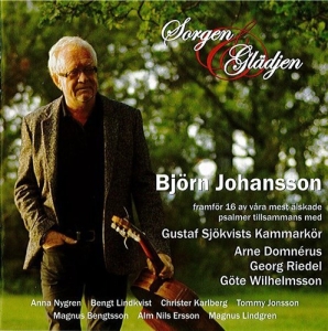 Johansson Björn - Sorgen & Glädjen in the group CD / Övrigt at Bengans Skivbutik AB (632079)
