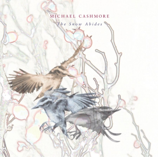 Cashmore Michael - Snow Abides in the group CD / Bestsellers at Bengans Skivbutik AB (640333)