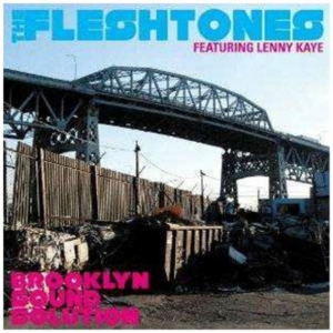 Fleshtones - Brooklyn Sound Solution in the group CD / Pop-Rock at Bengans Skivbutik AB (641088)