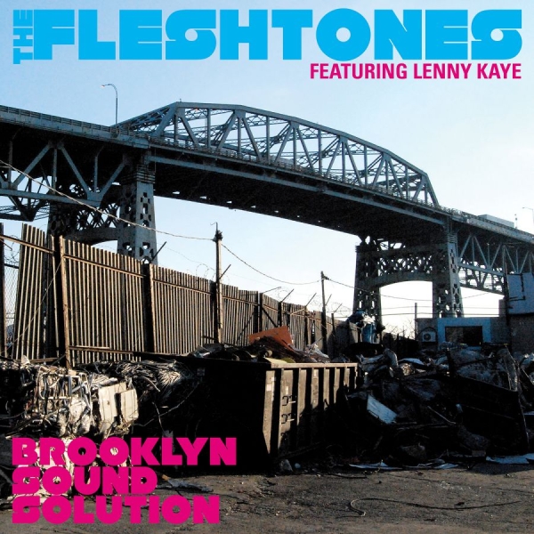 Fleshtones The - Brooklyn Sound Solution in the group CD / Rock at Bengans Skivbutik AB (641088)