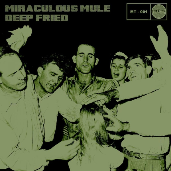 Miraculous Mule - Deep Fried in the group CD / Bestsellers at Bengans Skivbutik AB (642801)